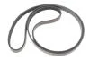 Комплект ременя генератора Renault Megane/Scenic 00-09, (5PK1750) INA 529 0082 10 (фото 11)