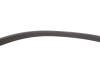 Комплект ременя генератора Renault Megane/Scenic 00-09, (5PK1750) INA 529 0082 10 (фото 9)