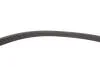 Комплект ременя генератора Renault Megane/Scenic 00-09, (5PK1750) INA 529 0082 10 (фото 9)