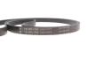 Комплект ременя генератора Renault Megane/Scenic 00-09, (5PK1750) INA 529 0082 10 (фото 10)