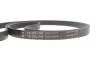 Комплект ременя генератора Renault Megane/Scenic 00-09, (5PK1750) INA 529 0082 10 (фото 10)