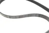 Комплект ременя генератора VW Passat 96-05 (5PK1300) INA 529 0096 10 (фото 2)
