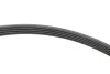 Комплект ременя генератора VW Passat 96-05 (5PK1300) INA 529 0096 10 (фото 3)