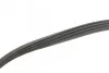 Комплект ременя генератора Renault Kangoo 1.2 97- (4PK 928) INA 529 0100 10 (фото 4)