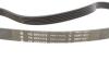 Комплект ременя генератора Audi A2/Seat Ibiza/Skoda Fabia/VW Golf/Polo 1.4/1.6/1.6FSI 97- (6PK 1078) INA 529 0103 10 (фото 2)