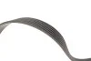 Комплект ременя генератора Citroen Jumpy/Fiat Scudo/Peugeot Partner/306/Expert 1.9D 98-15 (6PK1438) INA 529 0107 10 (фото 3)