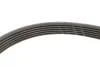 Комплект ременя генератора Nissan Note/Qashqai 1.5 dCi 11- (6PK 1195) INA 529 0117 10 (фото 3)