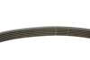 Комплект ременя генератора VW Golf 1.2/1.4TSI 12-/Skoda Octavia 1.2-1.6 12- (6PK1003) INA 529 0159 20 (фото 4)