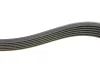 Комплект ременя генератора Skoda Fabia/VW Polo 1.0/1.6 14- (6PK989) INA 529 0160 10 (фото 4)
