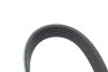 Комплект ременя генератора Renault Kangoo/Megane/Scenic 1.5 dCi 02- (6PK1130) INA 529 0165 10 (фото 3)
