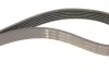 Комплект ременя генератора VW Caddy IV 1.6 15-20 (6PK1003) INA 529 0208 10 (фото 5)