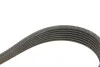 Комплект ременя генератора Renault Clio III 2.0 16V 06-14 (7PK1135) INA 529 0283 10 (фото 4)