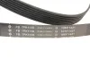 Комплект ременя генератора Renault Clio III 2.0 16V 06-14 (7PK1135) INA 529 0283 10 (фото 5)