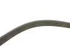 Комплект ременя генератора Citroen Jumpy/Peugeot Expert 2.0 HDi 09- (6PK1245) INA 529 0291 10 (фото 2)