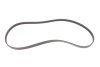 Комплект ременя генератора + помпа Opel Astra J/Corsa D 09-15 (5PK1335) INA 529 0295 30 (фото 12)