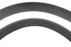 К-т,поликлиновый пас+натяжитель INA 529 0317 10 (фото 3)