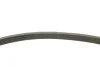 Комплект ременя генератора Citroen Jumper/Peugeot Boxer 2.2 HDi 06- (6PK1640/4EPK922) INA 529 0322 10 (фото 6)