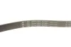 Комплект ременя генератора Citroen Jumper/Peugeot Boxer 2.2 HDi 06- (6PK1640/4EPK922) INA 529 0322 10 (фото 8)