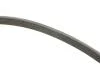 Комплект ременя генератора Opel Insignia 2.0 CDTI 08-17 (6PK 1853), A20DTR/DTC/DTL/DTJ/DT INA 529 0351 10 (фото 2)