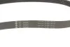 Комплект ременя генератора Skoda Roomster/Fabia 1.4TDi 03-10/VW Fox/Lupo/Polo 1.2/1.4TDI 99-09 INA 529 0378 10 (фото 4)