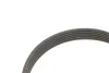 Комплект ременя генератора Skoda Roomster/Fabia 1.4TDi 03-10/VW Fox/Lupo/Polo 1.2/1.4TDI 99-09 INA 529 0378 10 (фото 5)