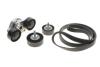 Комплект ременя генератора Land Rover Discovery/Range Rover 2.0D 14- INA 529 0426 10 (фото 2)