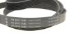 Комплект ременя генератора Land Rover Discovery/Range Rover 2.0D 14- INA 529 0426 10 (фото 9)