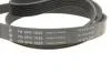 Комплект ременя генератора Land Rover Discovery/Range Rover 2.0D 14- INA 529 0426 10 (фото 9)