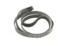 Комплект ременя генератора Land Rover Discovery/Range Rover 2.0D 14- INA 529 0426 10 (фото 10)