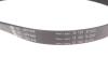 Комплект ременя генератора Ford Focus 2.5 ST 05-12, (5PK890 + 5PK848) INA 529 0477 10 (фото 3)