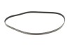 Комплект ременя генератора Audi A6/A8/Q7/Q8 17- (4PK1120) INA 529 0570 10 (фото 5)