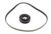 Комплект ременя генератора BMW 3 (F30/F80/G30/F)/5 (G30/F90/G31)/X3 (G01/F97) 2.0 15- B48 INA 529 0579 10 (фото 2)