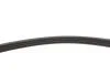 Комплект ременя генератора BMW 3 (F30/F80/G30/F)/5 (G30/F90/G31)/X3 (G01/F97) 2.0 15- B48 INA 529 0579 10 (фото 6)