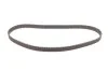 Комплект ГРМ Ford Focus/Mondeo 96-04 (129x25.4) INA 530 0066 10 (фото 10)