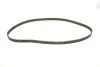 Комплект ГРМ + помпа Opel Astra F/Vectra B 1.4/1.6 16V 94-05 INA 530 0078 31 (фото 2)