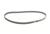 Комплект ГРМ Renault Laguna/Megane 2.0 93-01 (19x127z) INA 530 0108 10 (фото 3)