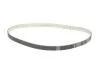 Комплект ГРМ + помпа Opel Astra G/Combo/Corsa C 1.7DI/DTI 00- (25x131z) INA 530 0338 30 (фото 2)