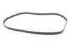 Комплект ГРМ Subaru Forester/Impreza 2.0 S Turbo 96-02 INA 530 0353 10 (фото 10)