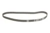 Комплект ГРМ Citroen C3 1.4 16V HDi 02- (25.4x135z) INA 530 0369 10 (фото 3)