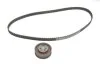 Комплект ГРМ Audi A6/VW Golf IV 2.0 94-02 (18x124z) INA 530 0392 10 (фото 2)