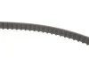 Комплект ГРМ Audi A6/VW Golf IV 2.0 94-02 (18x124z) INA 530 0392 10 (фото 4)