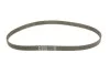 Комплект ГРМ + помпа Audi A3/Skoda Octavia/VW Golf 2.0FSI 04-10 INA 530 0445 32 (фото 3)