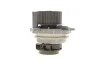 Комплект ГРМ + помпа Audi A3/Skoda Octavia/VW Golf 2.0FSI 04-10 INA 530 0445 32 (фото 8)