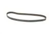 Комплект ГРМ + помпа Renault Megane/Scenic/Grand Scenic 1.9 dCi 09- (133x26) INA 530 0579 30 (фото 2)
