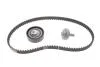 Комплект ГРМ Renault Kangoo/Dacia Logan/Sandero 1.4/1.6i 04- INA 530 0604 10 (фото 2)