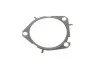 Комплект ГРМ + помпа Fiat Stilo 1.0 JTD 03-06 INA 530 0626 30 (фото 17)