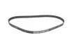 Комплект ГРМ Mazda 2/3 1.6 MZ-CD 04-15 INA 530 0632 10 (фото 4)