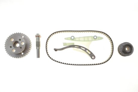 Комплект ремня ГРМ INA 530 0950 10