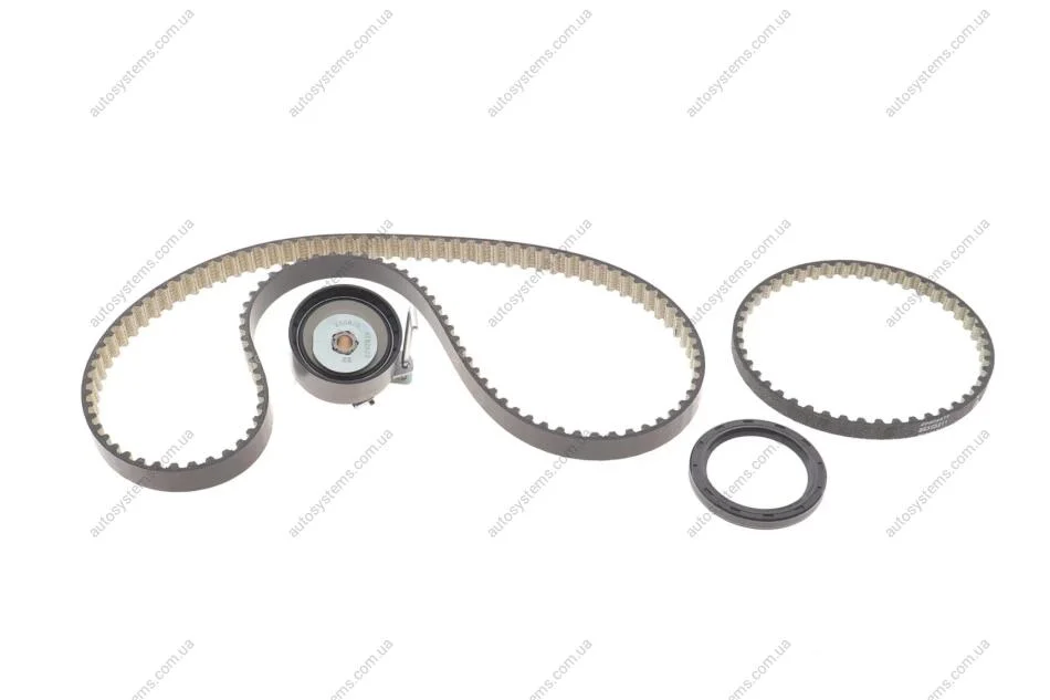 Комплект ГРМ Ford B-Max/C-Max/Fiesta/Mondeo 1.0 Ecoboost 12- INA 530 0958 10 (фото 1)