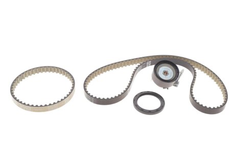 Комплект ремня ГРМ INA 530 0960 10